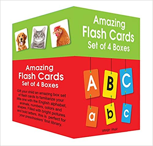 Wonder house Amazing Flash card Box Set